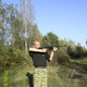 макс, 43