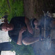 ildar, 53 (5 фото, 0 видео)