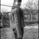 , 33