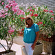 ludmila, 71