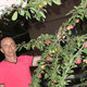 Игорь, 62 (1 фото, 0 видео)