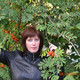 Елена, 57 (9 фото, 0 видео)