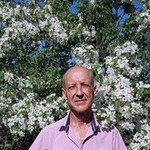 Александр, 58 (1 фото, 0 видео)