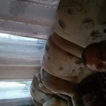 Дмитрий Ковалев, 42 (1 фото, 0 видео)