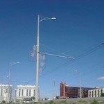 Слава Тара, 29