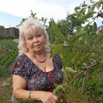 Анна, 65 (2 фото, 0 видео)