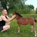 Аркадий, 35 (2 фото, 0 видео)