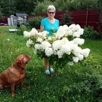 Людмила, 63 (6 фото, 0 видео)